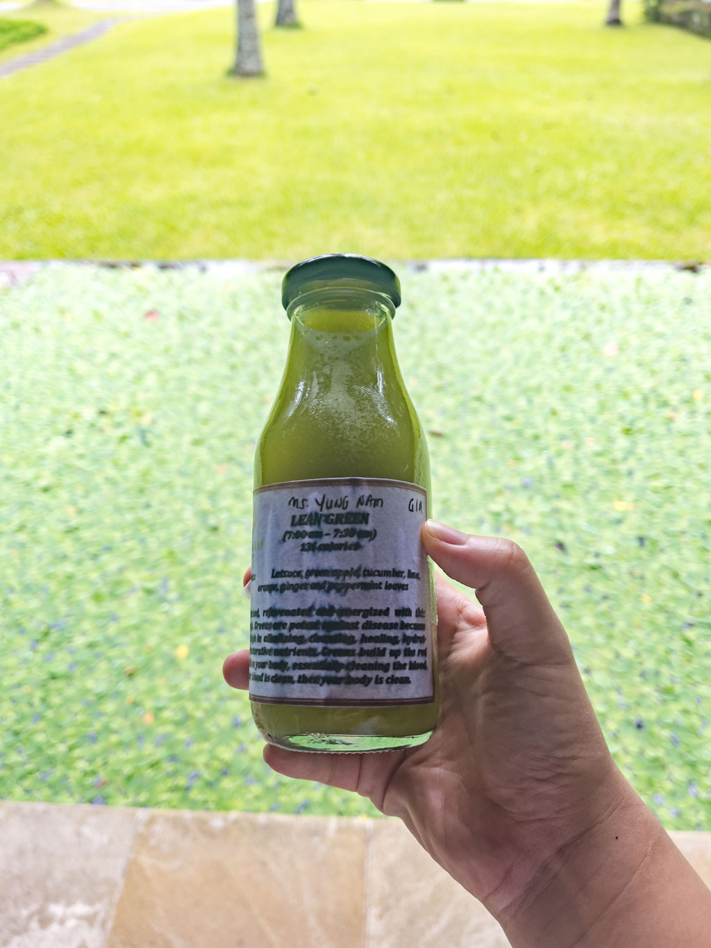 morning juice cleanse San Benito Philippines - laugh travel eat