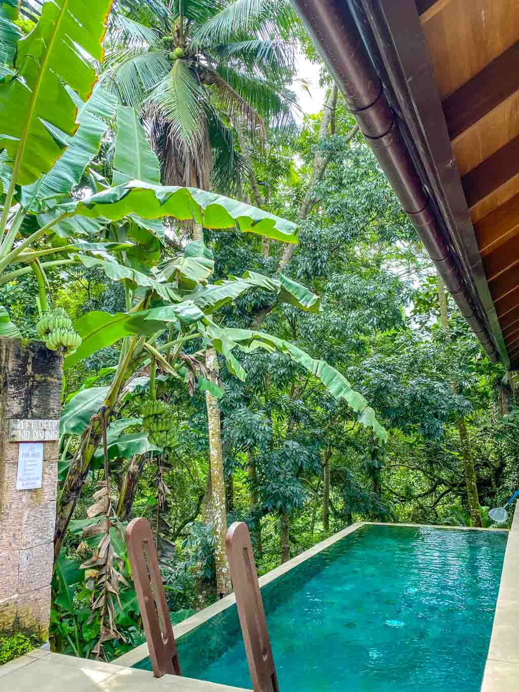 nara pool villas Farm at San Benito Philippines - laugh travel eat