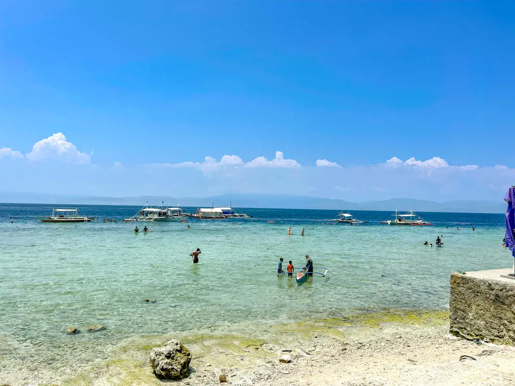 sardine runs location moalboal cebu philippines - laugh travel eat