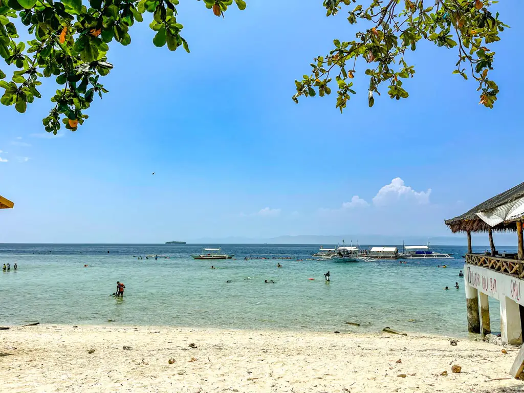 sardine runs location moalboal cebu philippines - laugh travel eat