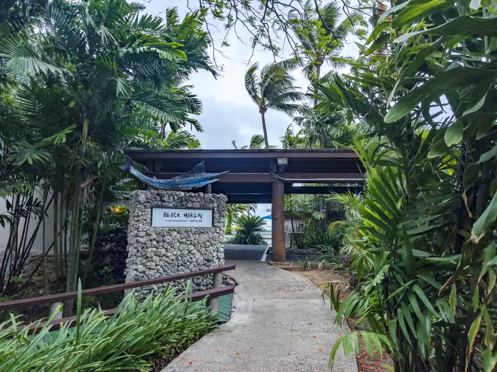 black marlin Shangri-la yanuca island coral coast Fiji - laugh travel eat