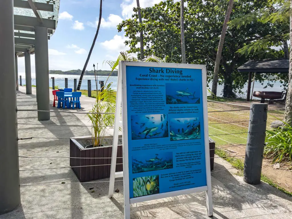 dive center Shangri-la yanuca island coral coast Fiji - laugh travel eat
