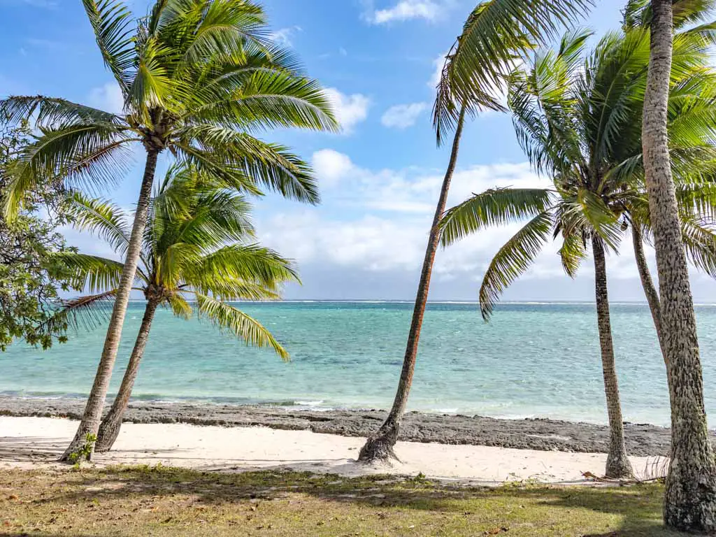 reef Shangri-la yanuca island coral coast Fiji - laugh travel eat