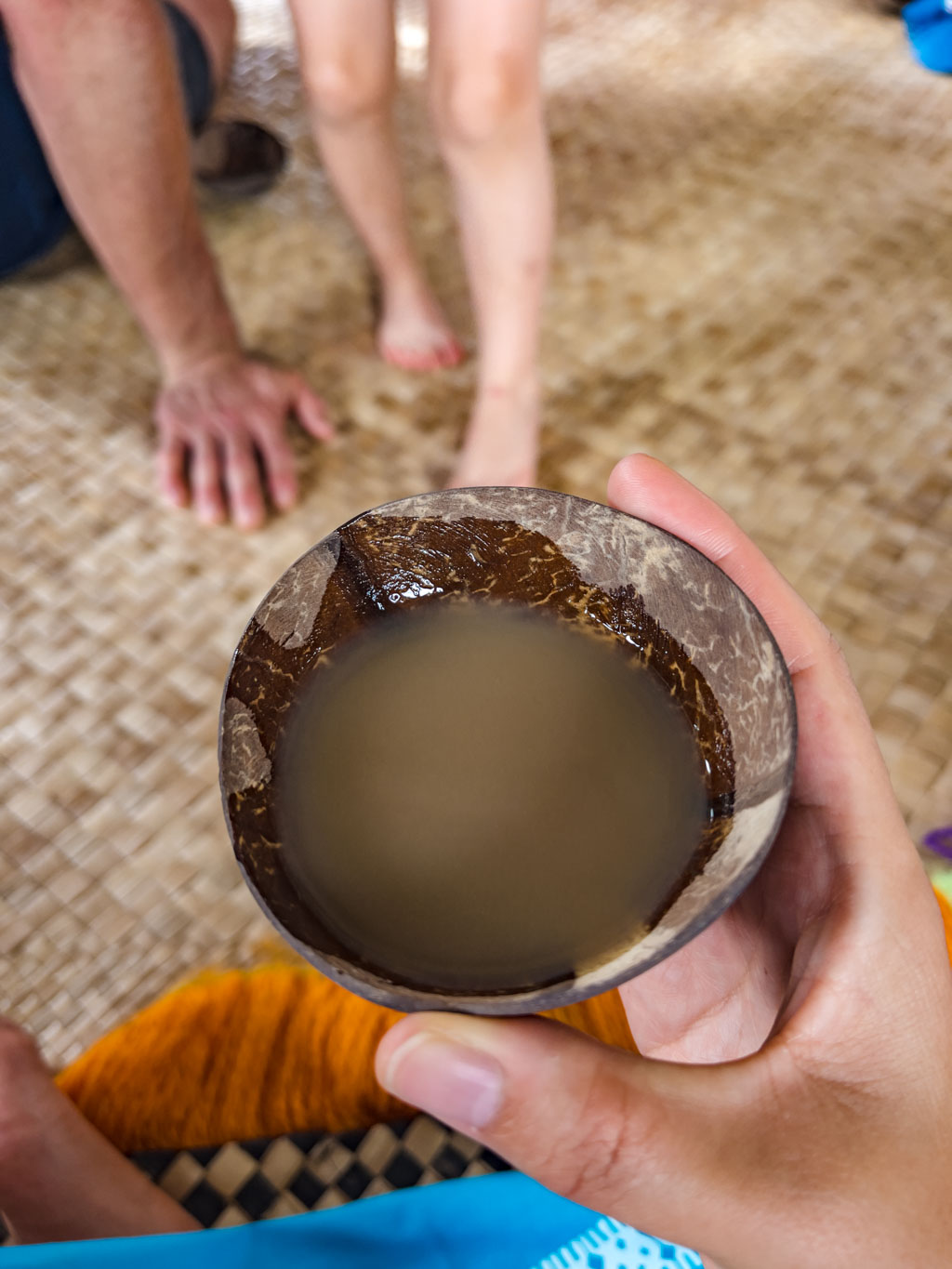 welcome ceremony with kava village visit river safari Sigatoka Fiji - laugh travel eat