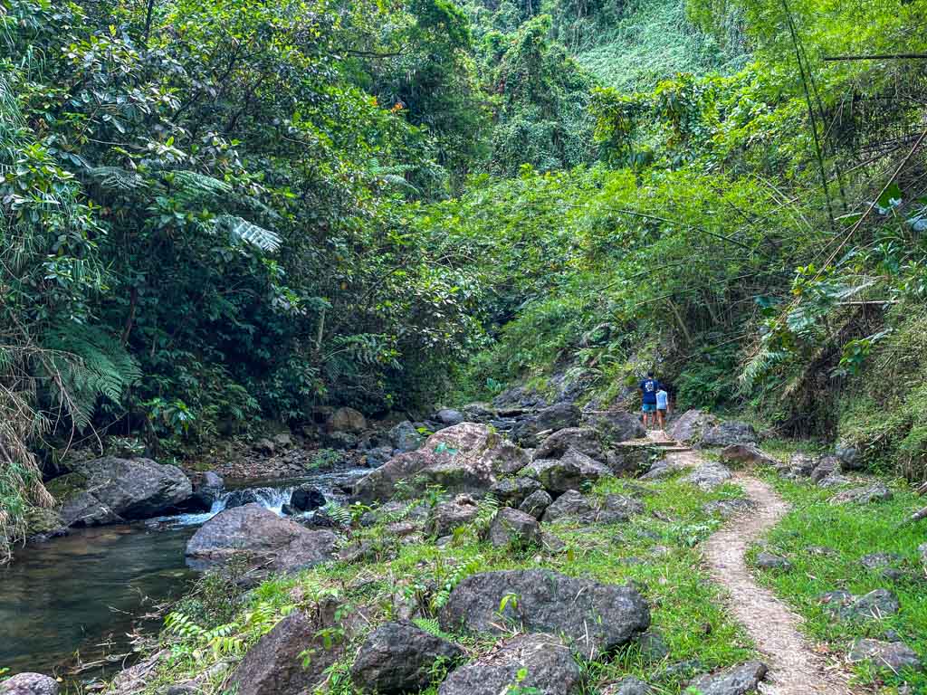 waterfall visit river tubing near Suva Fiji - laugh travel eat