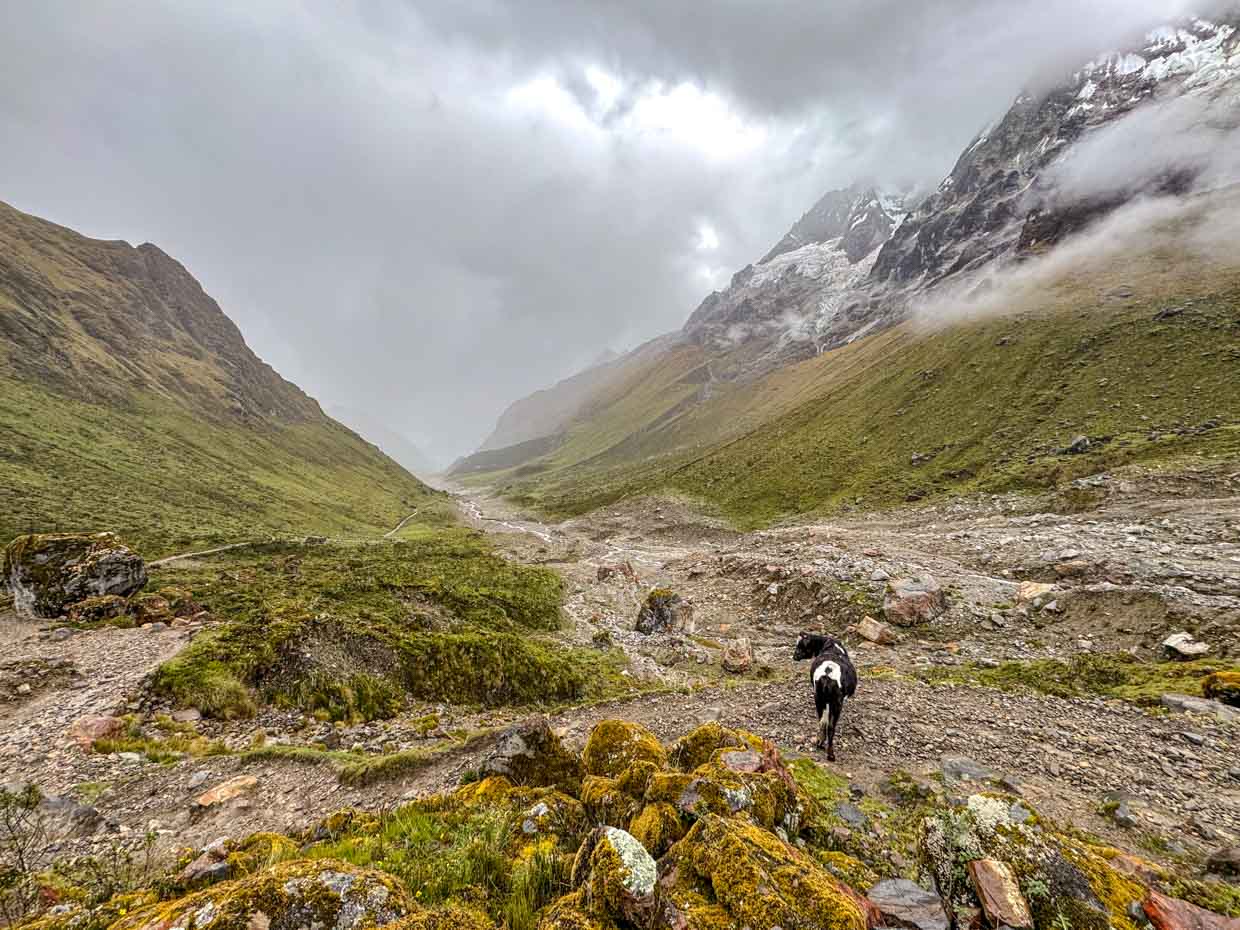 Salkantay Pass to campsite day 1 Alpaca Expeditions Salkantay Trek Cusco Peru - laugh travel eat