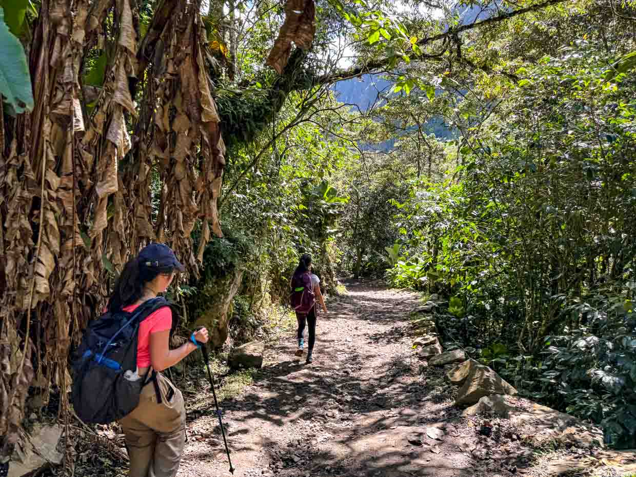 campsite to hydroelectric station day 4 Alpaca Expeditions Salkantay Trek Cusco Peru - laugh travel eat