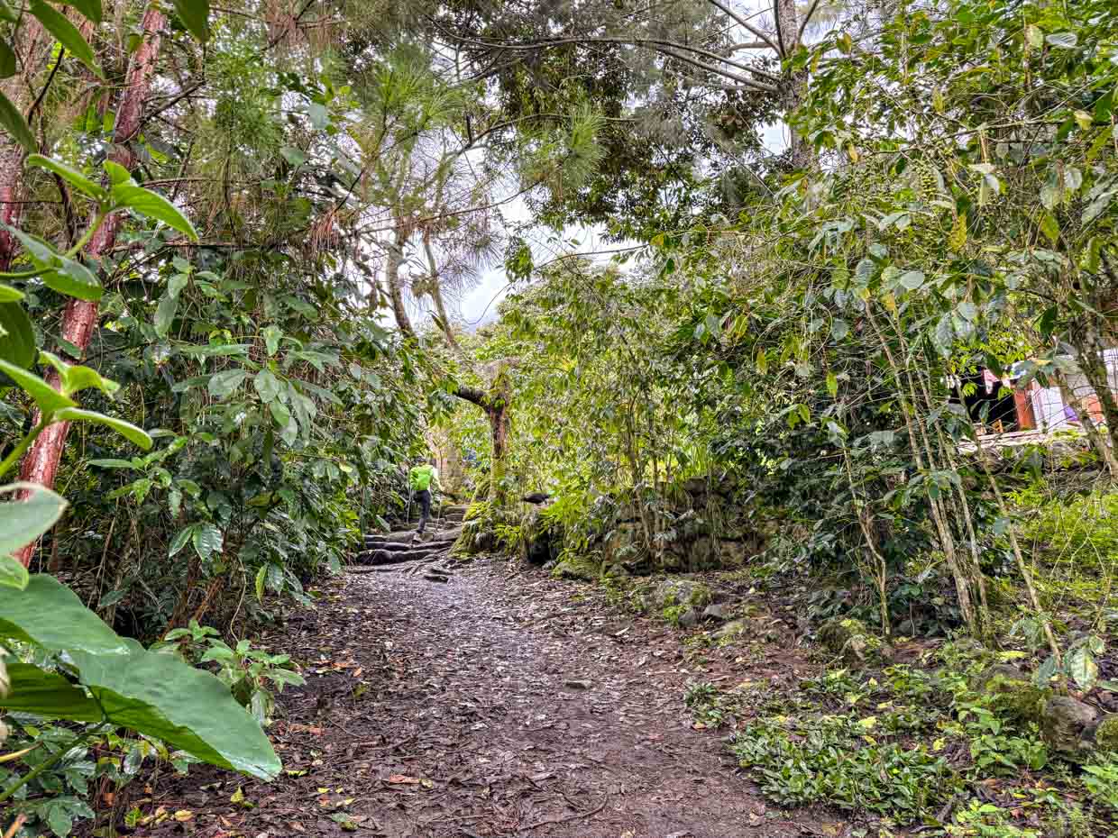 coffee farm on inca trail day 3 Alpaca Expeditions Salkantay Trek Cusco Peru - laugh travel eat
