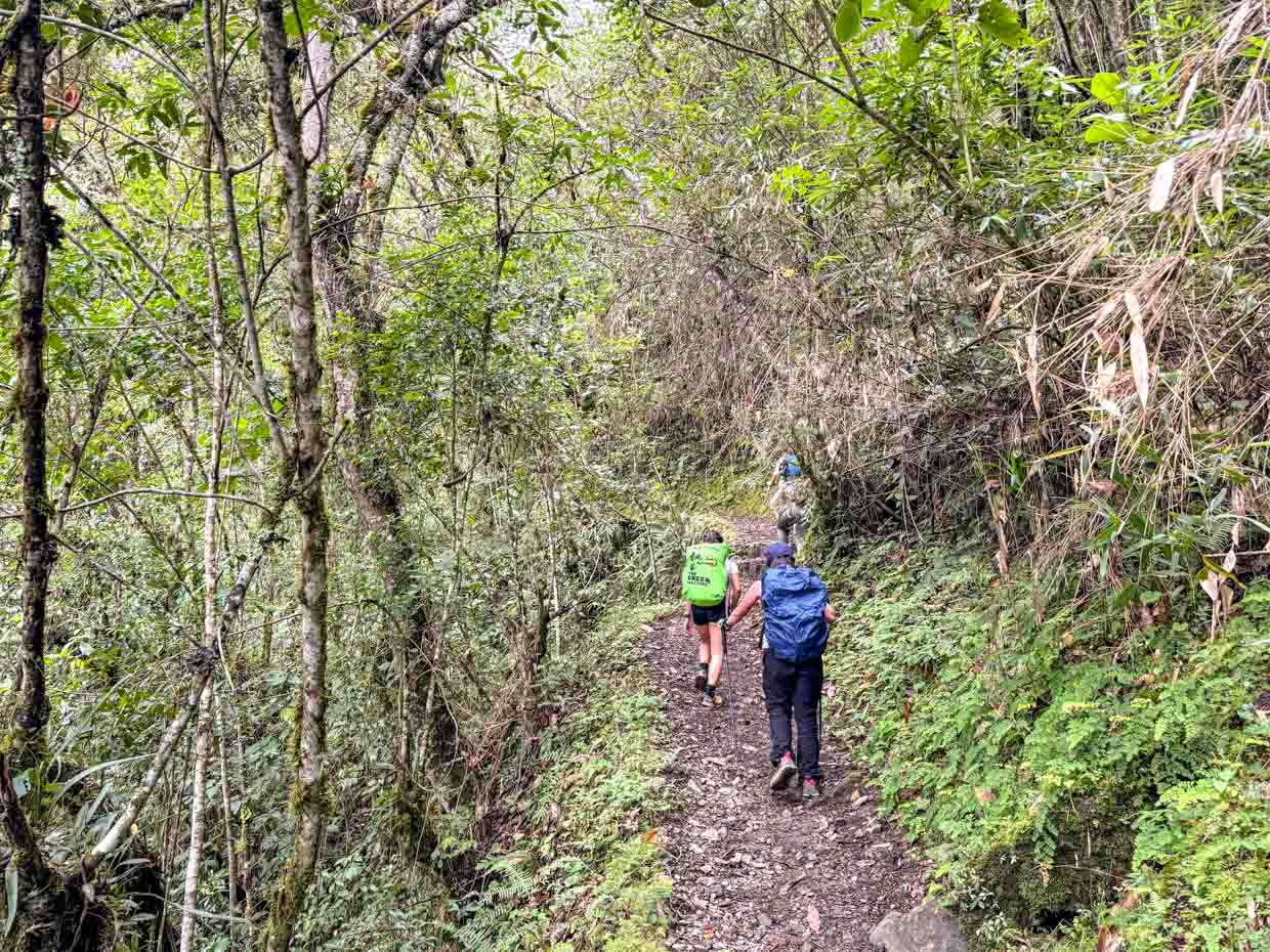 coffee farm to hilltop rest stop inca trail day 3 Alpaca Expeditions Salkantay Trek Cusco Peru - laugh travel eat