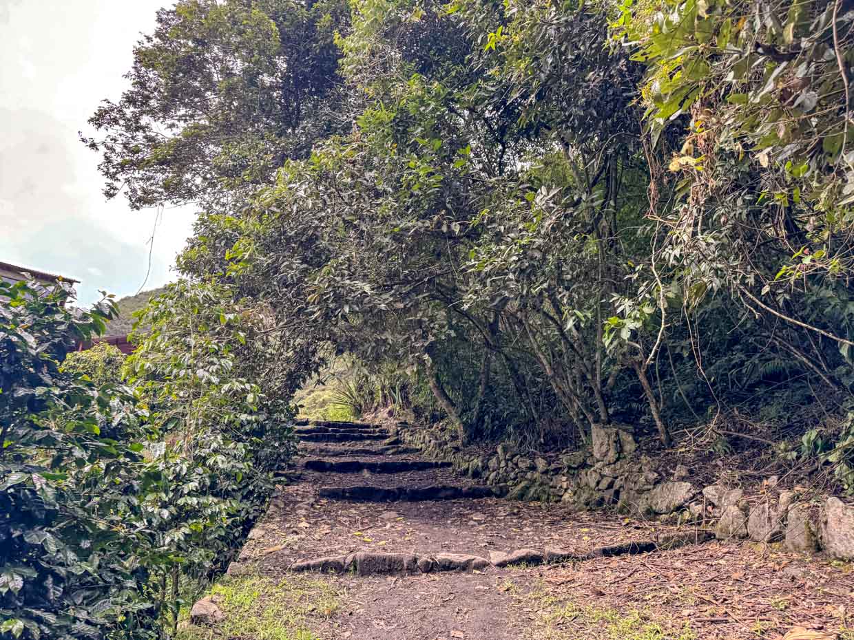 coffee farm to hilltop rest stop inca trail day 3 Alpaca Expeditions Salkantay Trek Cusco Peru - laugh travel eat