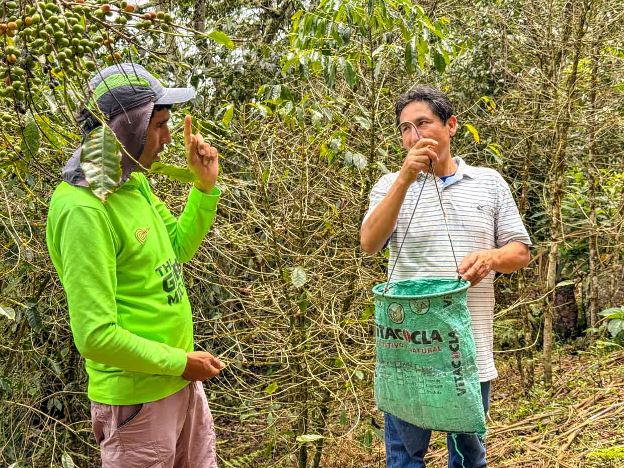 coffee processing coffee farm on inca trail day 3 Alpaca Expeditions Salkantay Trek Cusco Peru - laugh travel eat