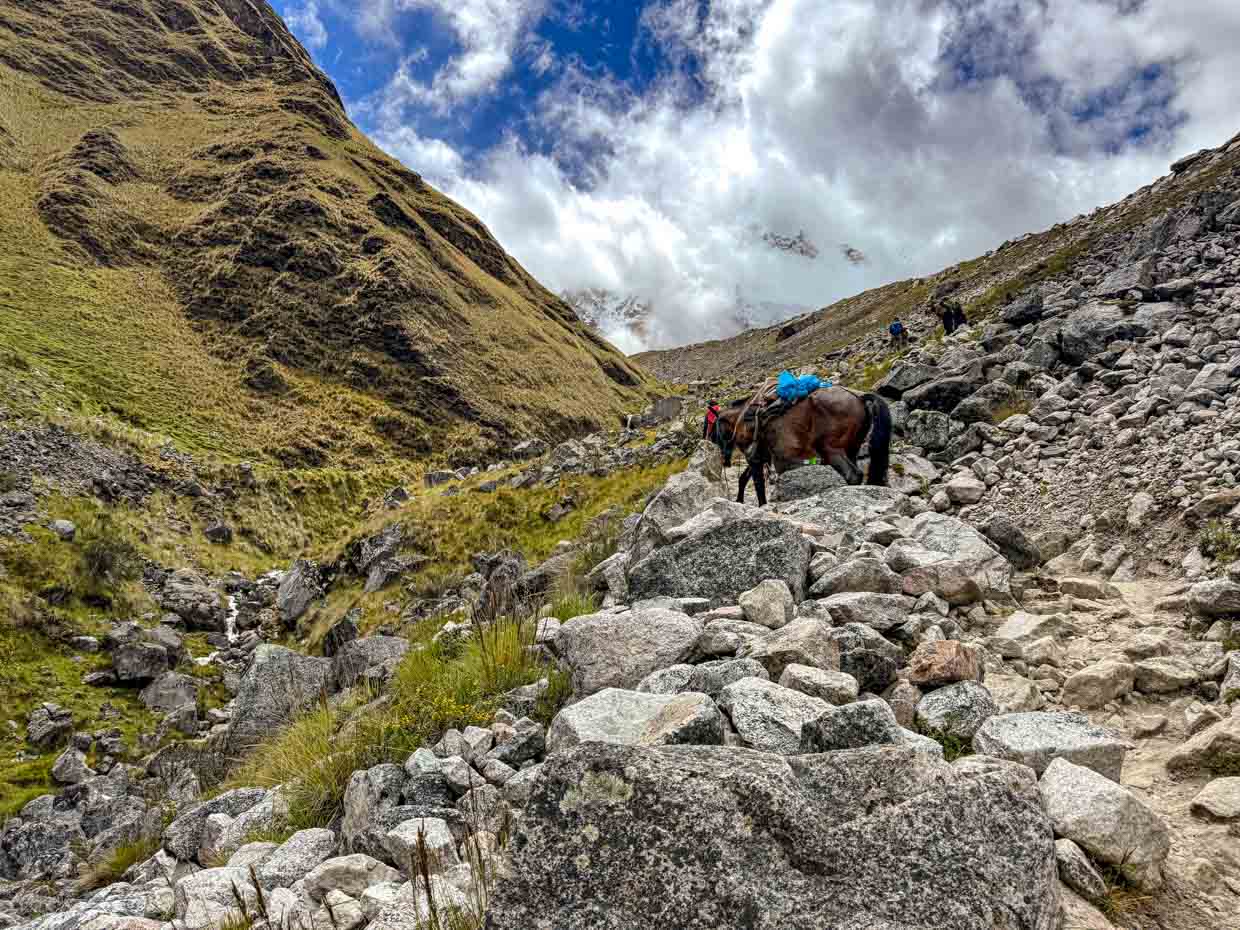 hike to Salkantay Pass day 1 Alpaca Expeditions Salkantay Trek Cusco Peru - laugh travel eat