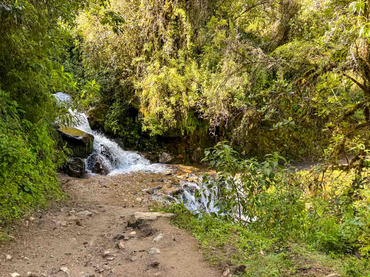 hike to lunch stop day 2 Alpaca Expeditions Salkantay Trek Cusco Peru - laugh travel eat