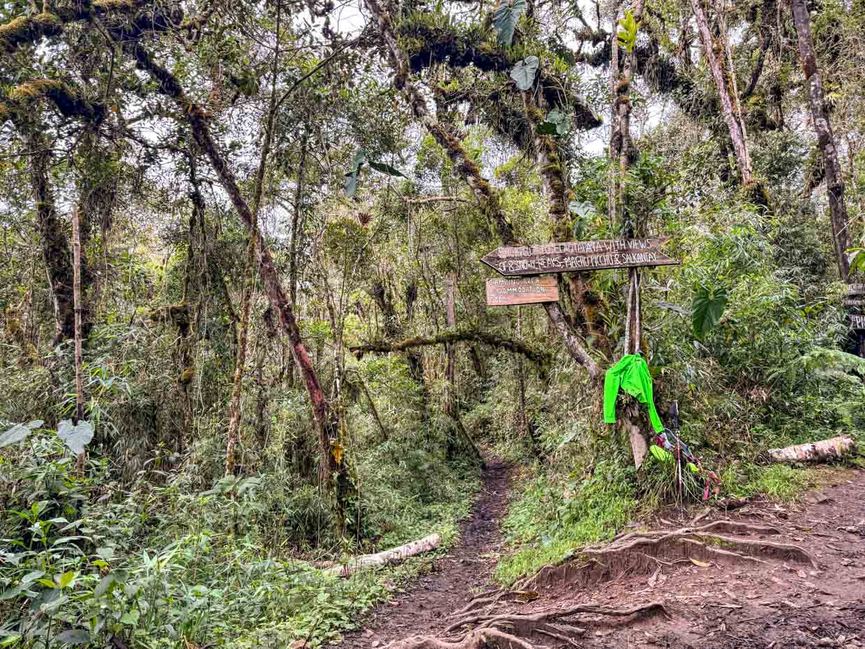 coffee farm to hilltop rest stop inca trail day 3 Alpaca Expeditions Salkantay Trek Cusco Peru - laugh travel eat