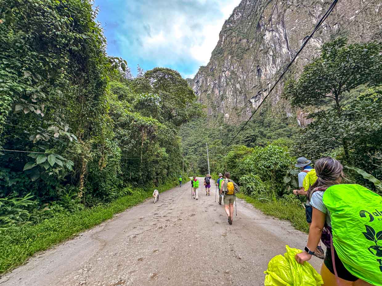 last stretch to Aguas Caliente day 4 Alpaca Expeditions Salkantay Trek Cusco Peru - laugh travel eat