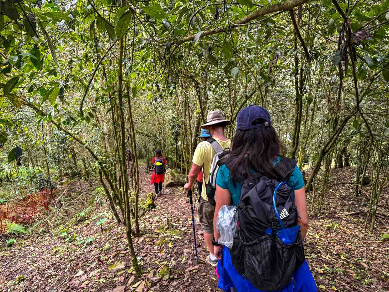 pavillion rest stop day 2 Alpaca Expeditions Salkantay Trek Cusco Peru - laugh travel eat