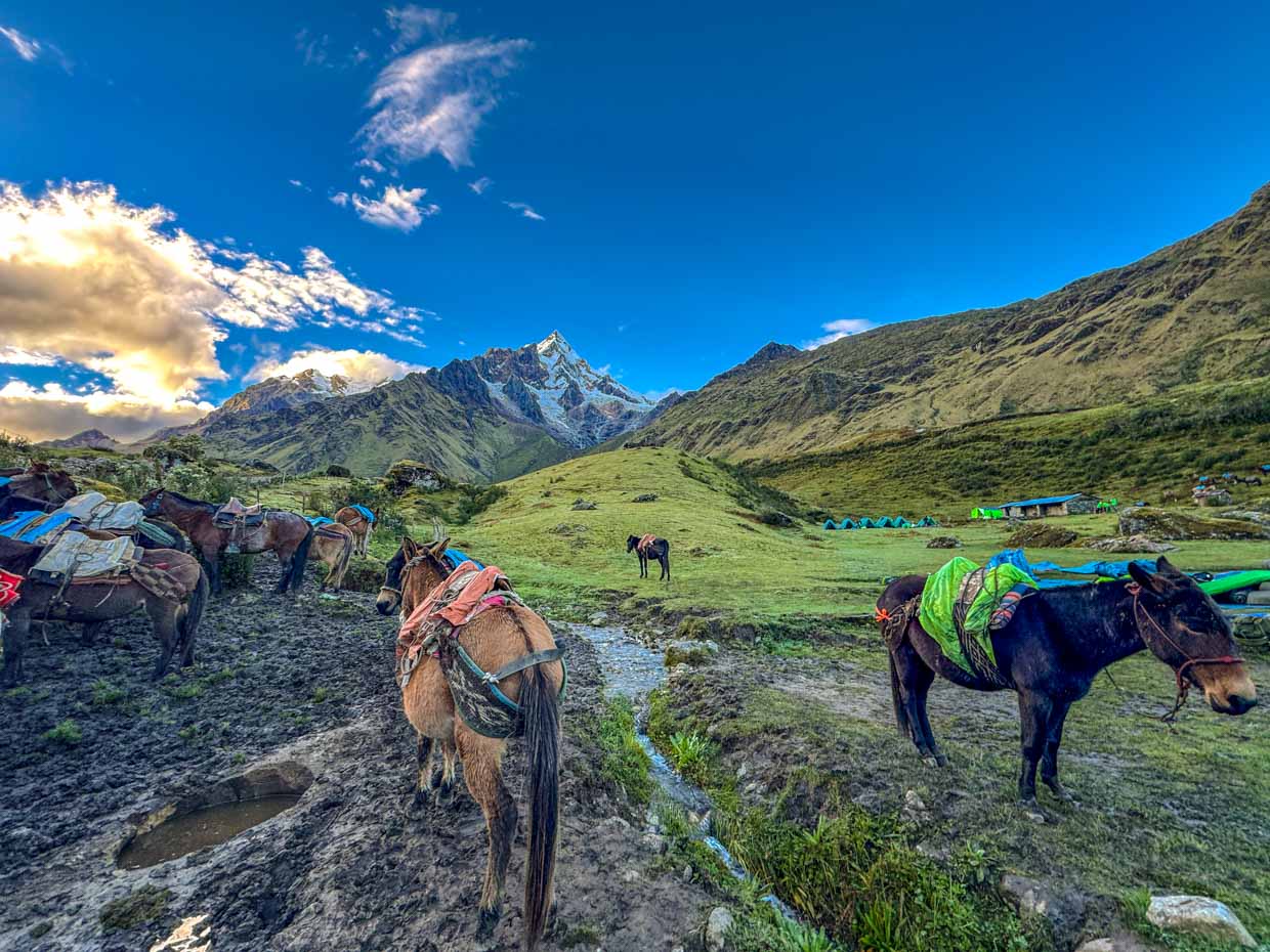 start of day day 2 Alpaca Expeditions Salkantay Trek Cusco Peru - laugh travel eat