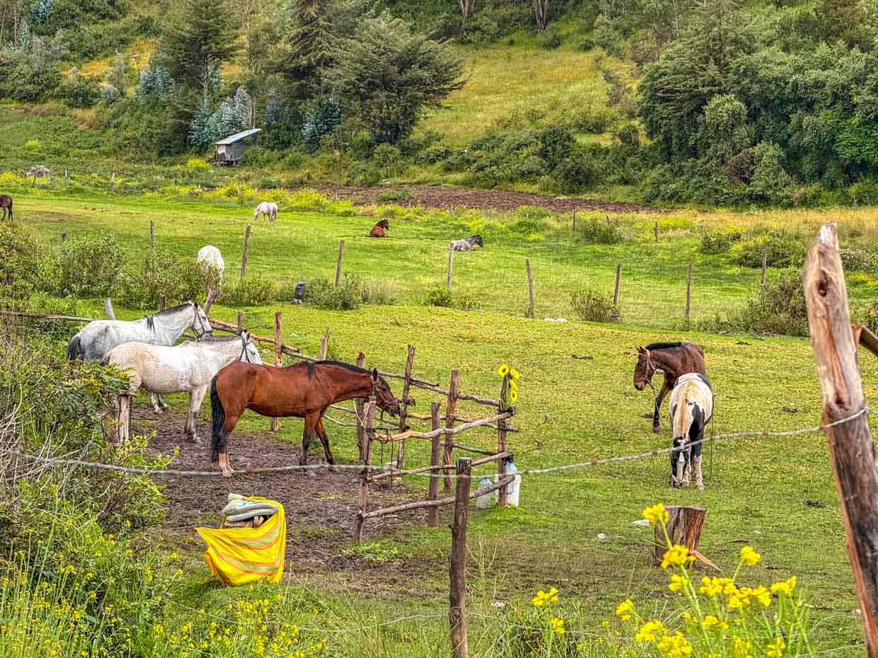 horse riding around ruins in Cusco Peru - laugh travel eat