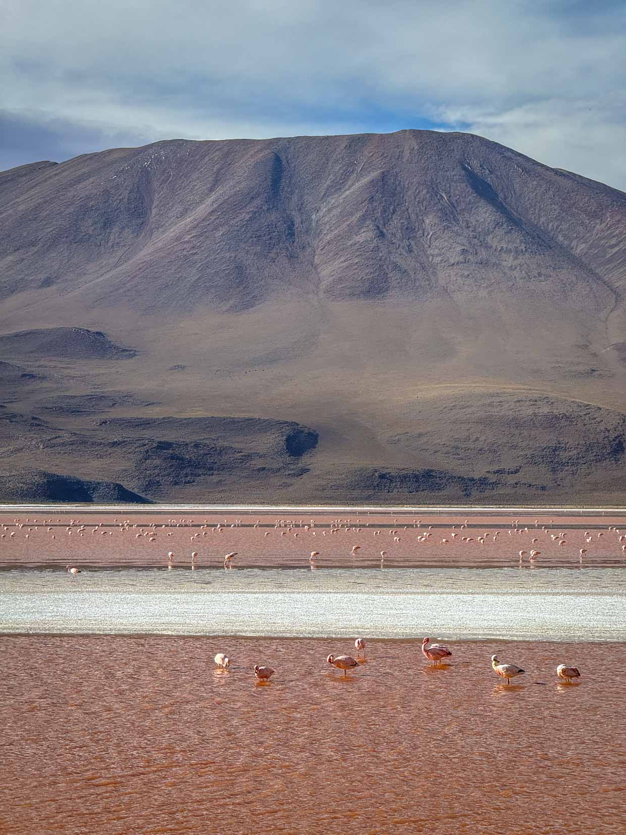 Colorado Lagoon day 2 of Uyuni tour Bolivia - laugh travel eat