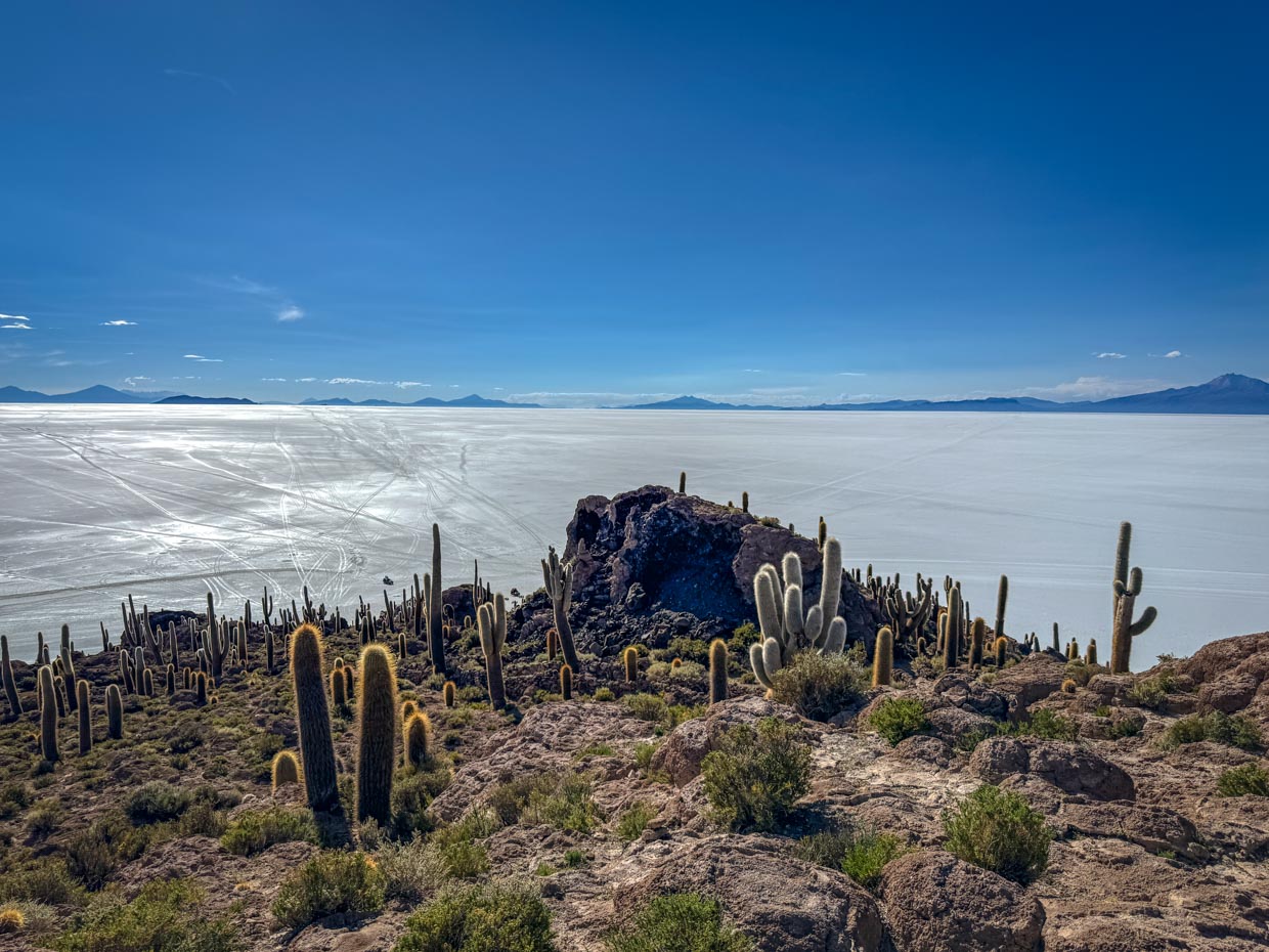 Isola Incahuasi day 1 of Uyuni tour Bolivia - laugh travel eat