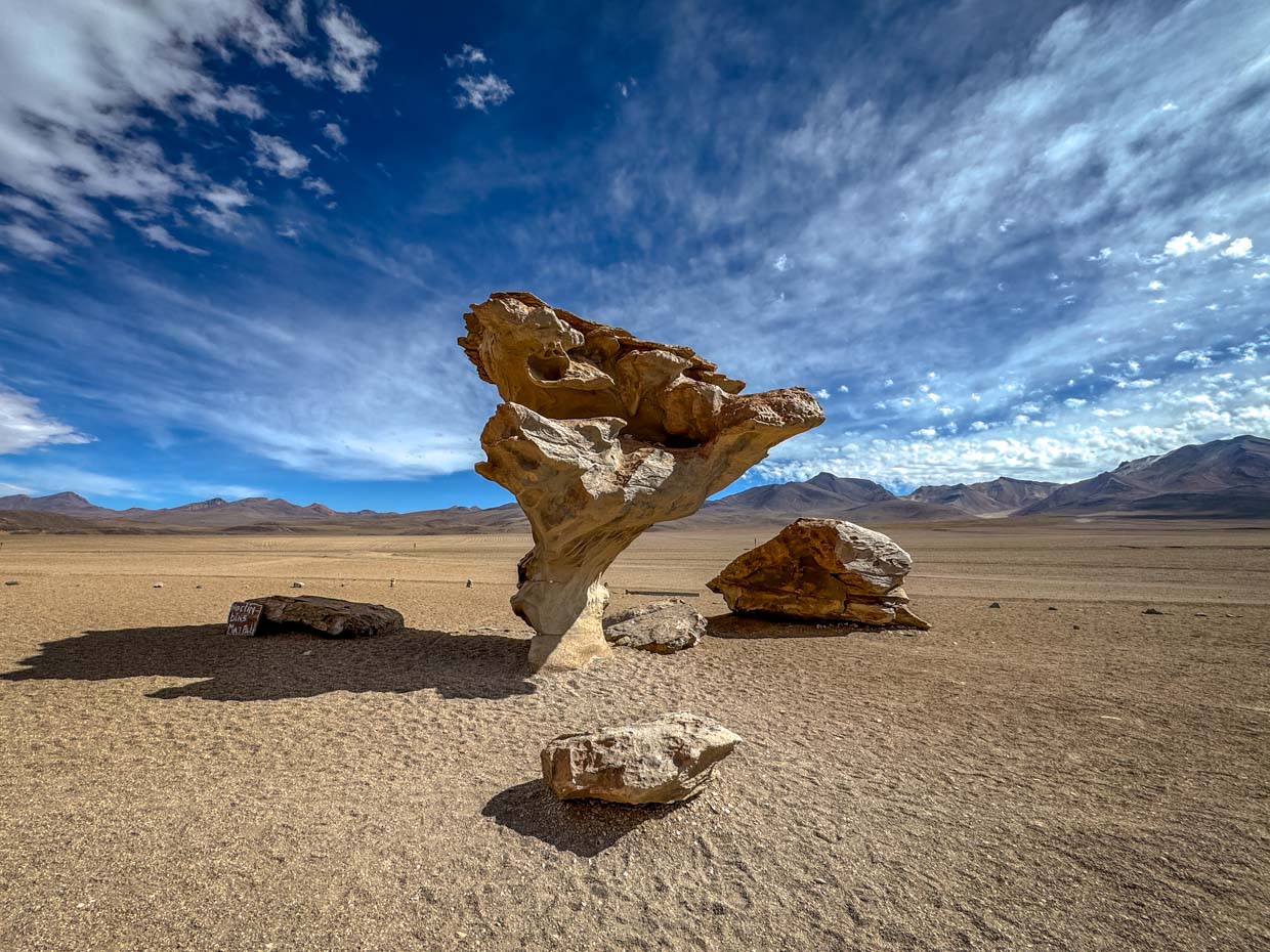Lithified tree day 2 of Uyuni tour Bolivia - laugh travel eat