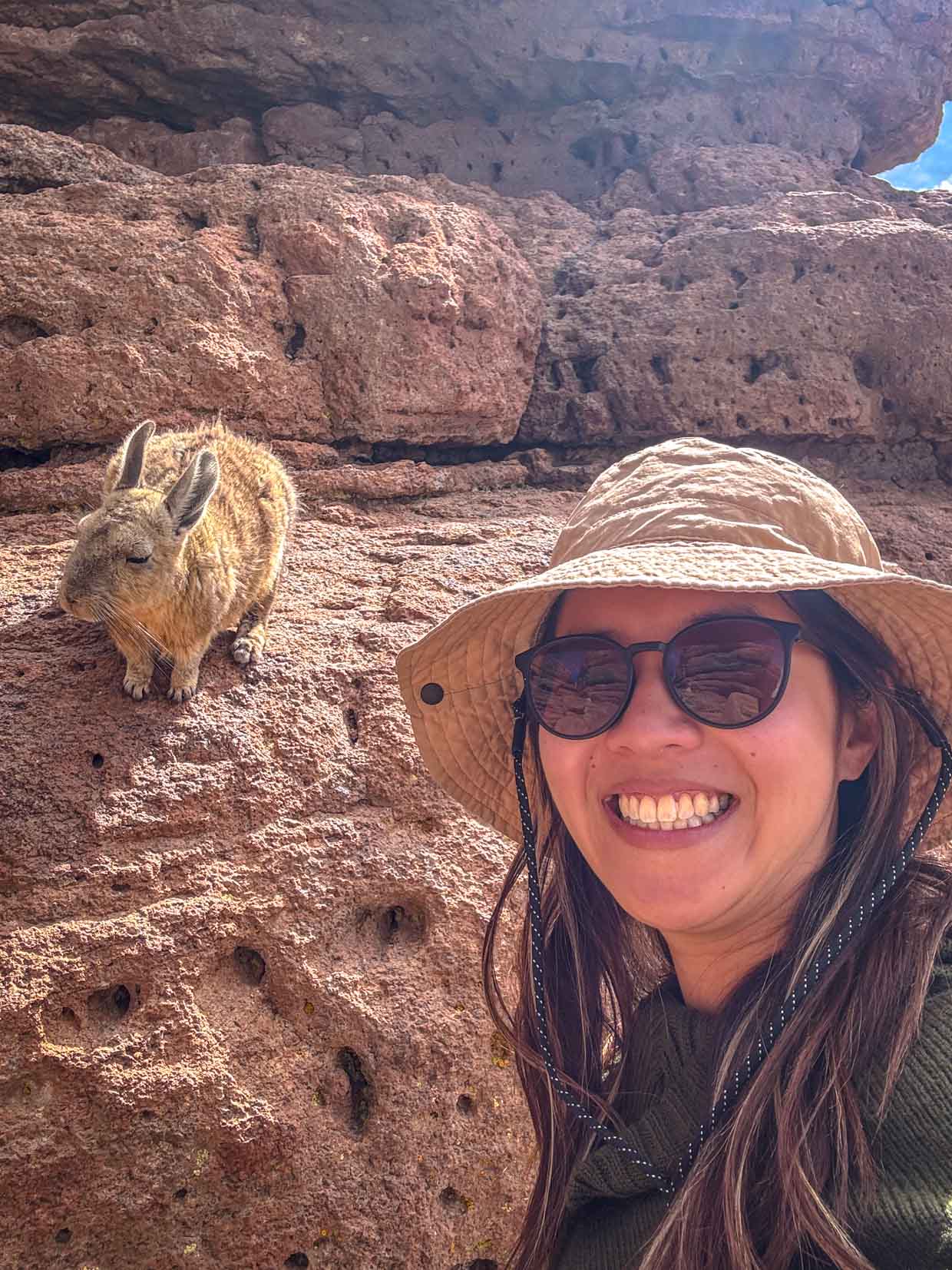 Viscachas on day 2 of Uyuni tour Bolivia - laugh travel eat-4