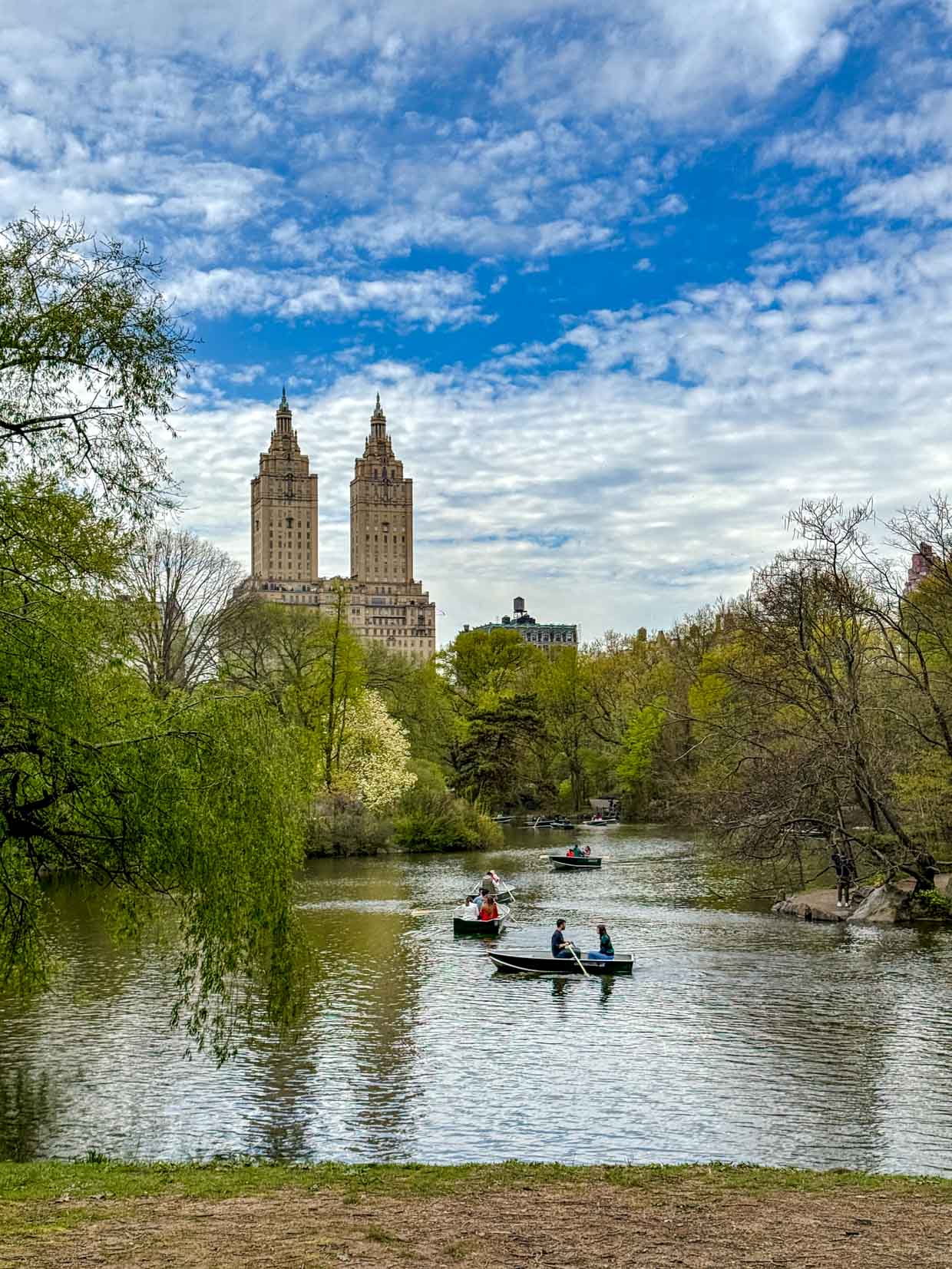 Central Park New York USA - laugh travel eat