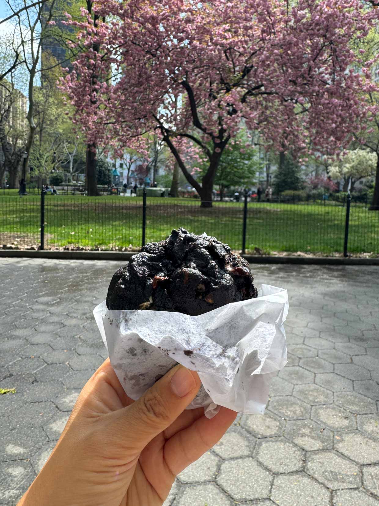 Levain Bakery New York USA - laugh travel eat