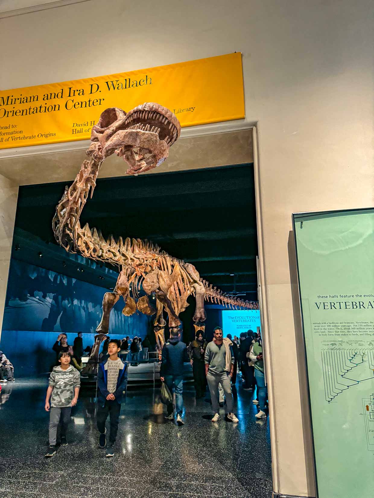 dinosaur section Natural History Museum New York USA - laugh travel eat