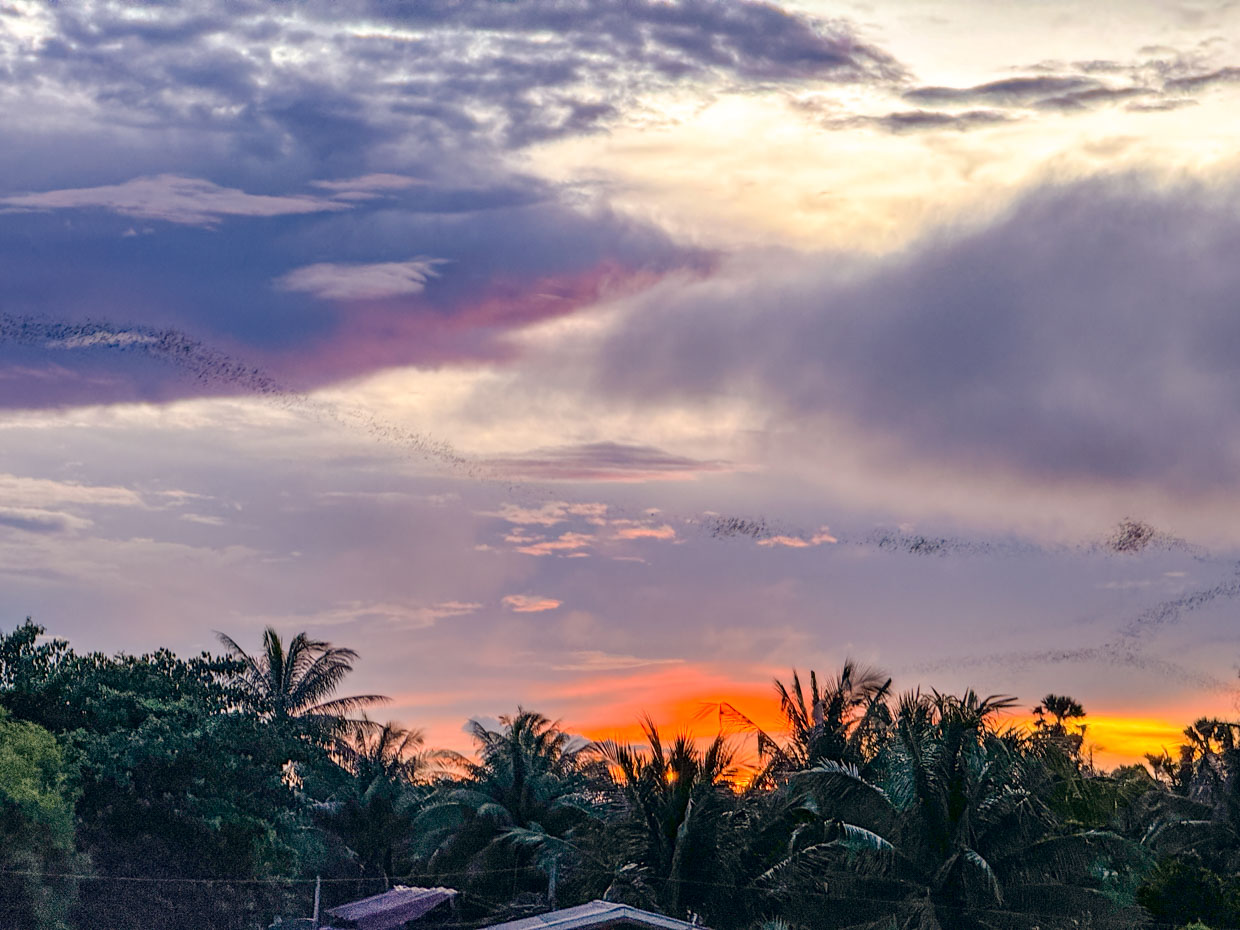 bat cave excursion SO Sofitel hua hin thailand - laugh travel eat-3