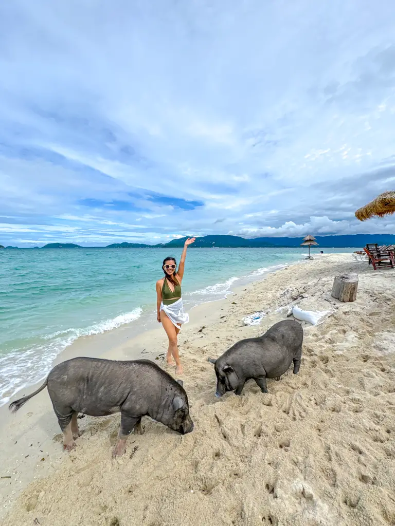 Koh Samui Pig Island Tour thailand _ laugh travel eat