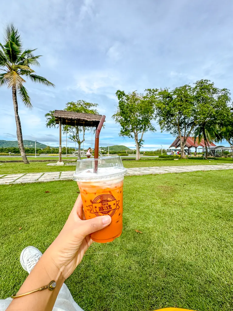 koh samui airport thailand _ laugh travel eat-1