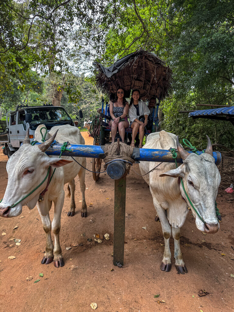 bullcart ride Hiriwadunna Village habarana sri lanka _ laugh travel eat
