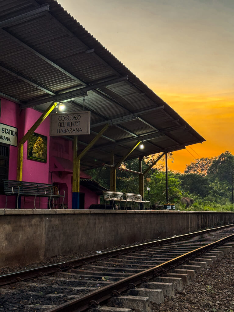habarana train station sri lanka _ laugh travel eat