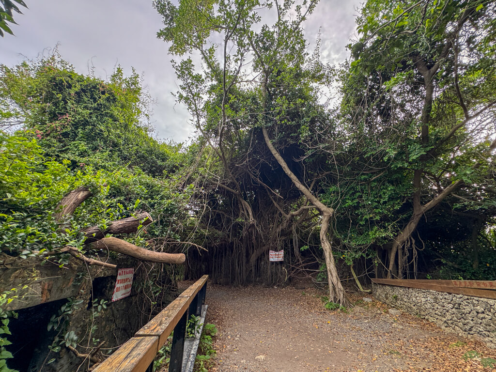 kaoshiung lighthouse to cijin fortress Kaoshiung Taiwan _ laugh travel eat