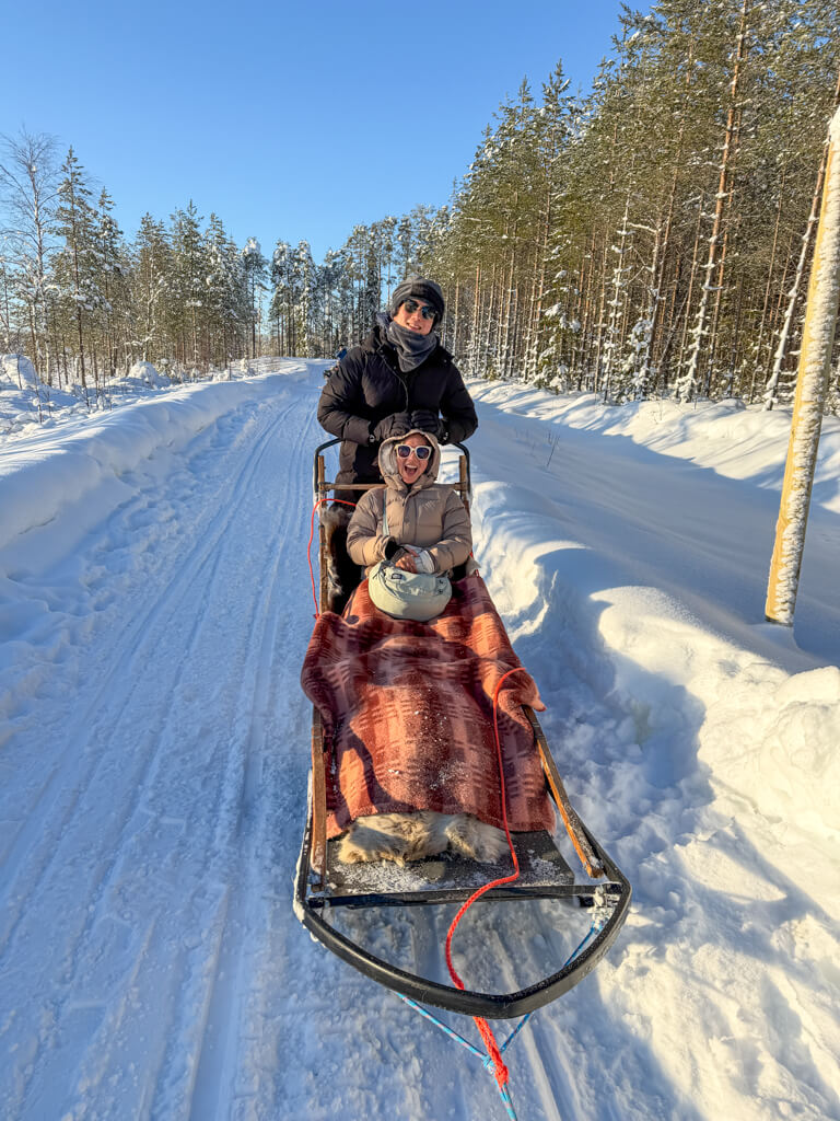 husky safari rovaniemi finland _ laugh travel eat