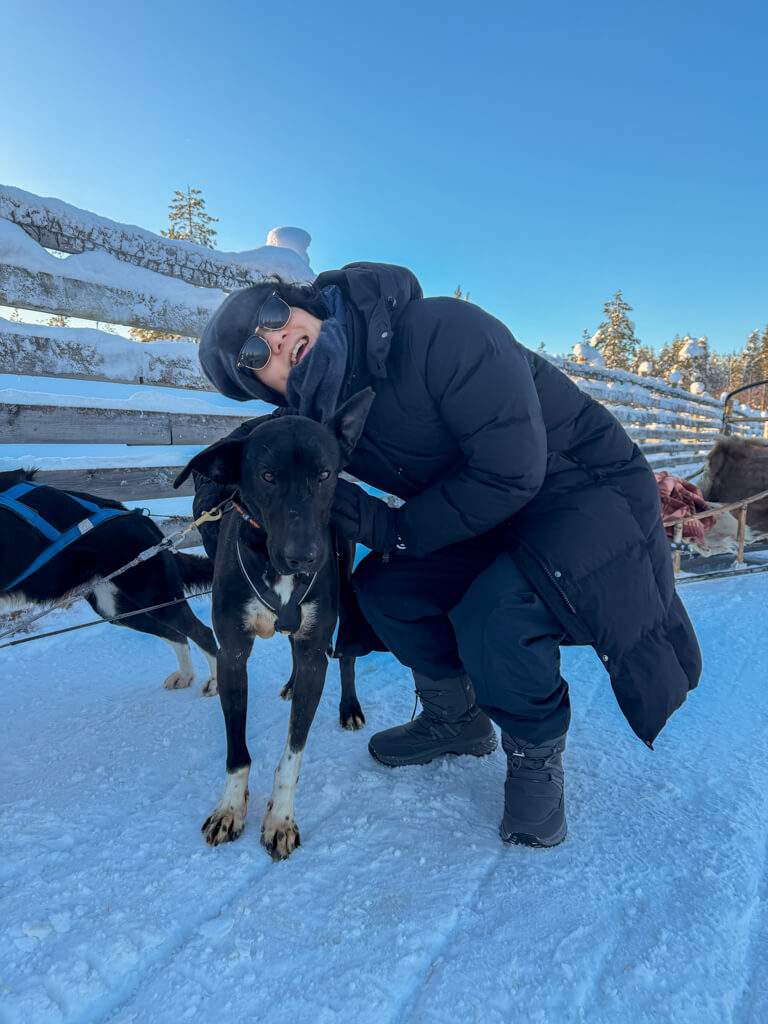 petting the dogs husky safari rovaniemi finland _ laugh travel eat