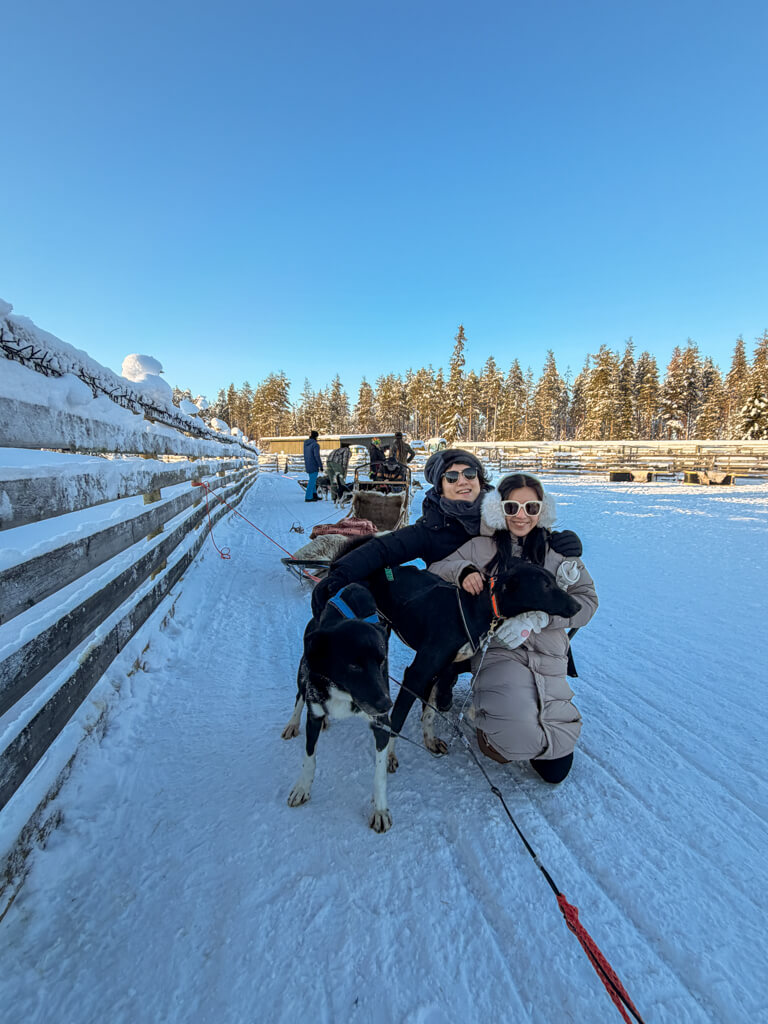 petting the dogs husky safari rovaniemi finland _ laugh travel eat