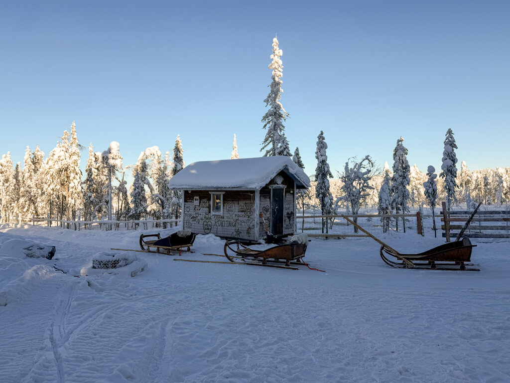 reindeer ride kotatieva winter park rovaniemi finland _ laugh travel eat