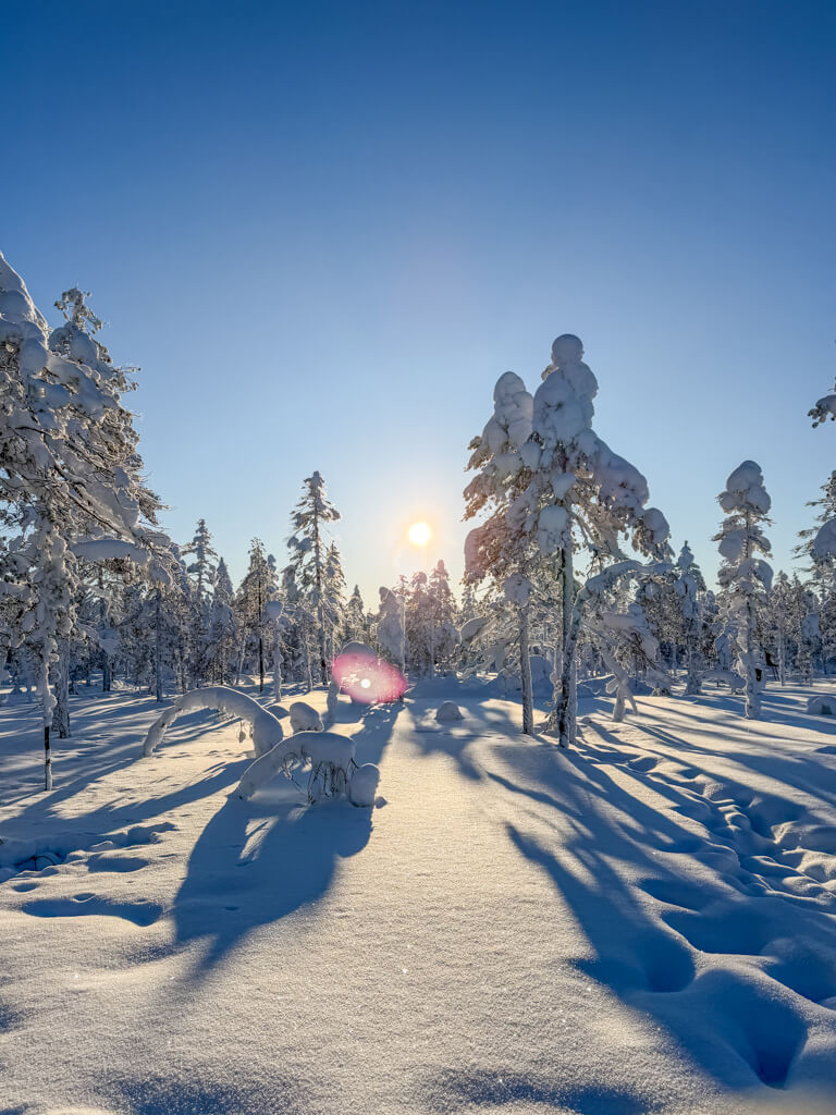shoe shoing kotatieva winter park rovaniemi finland _ laugh travel eat