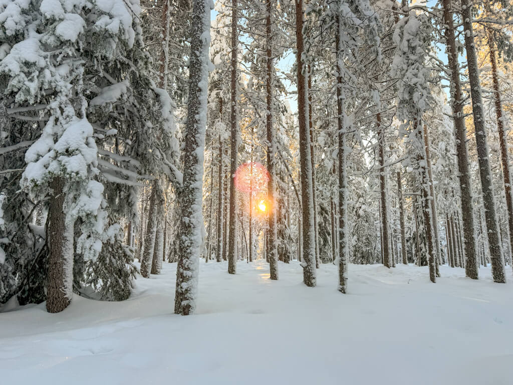 shoe shoing kotatieva winter park rovaniemi finland _ laugh travel eat