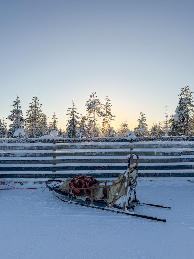sledge husky safari rovaniemi finland _ laugh travel eat