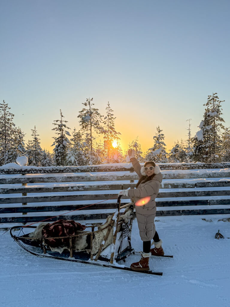 sledge husky safari rovaniemi finland _ laugh travel eat-3